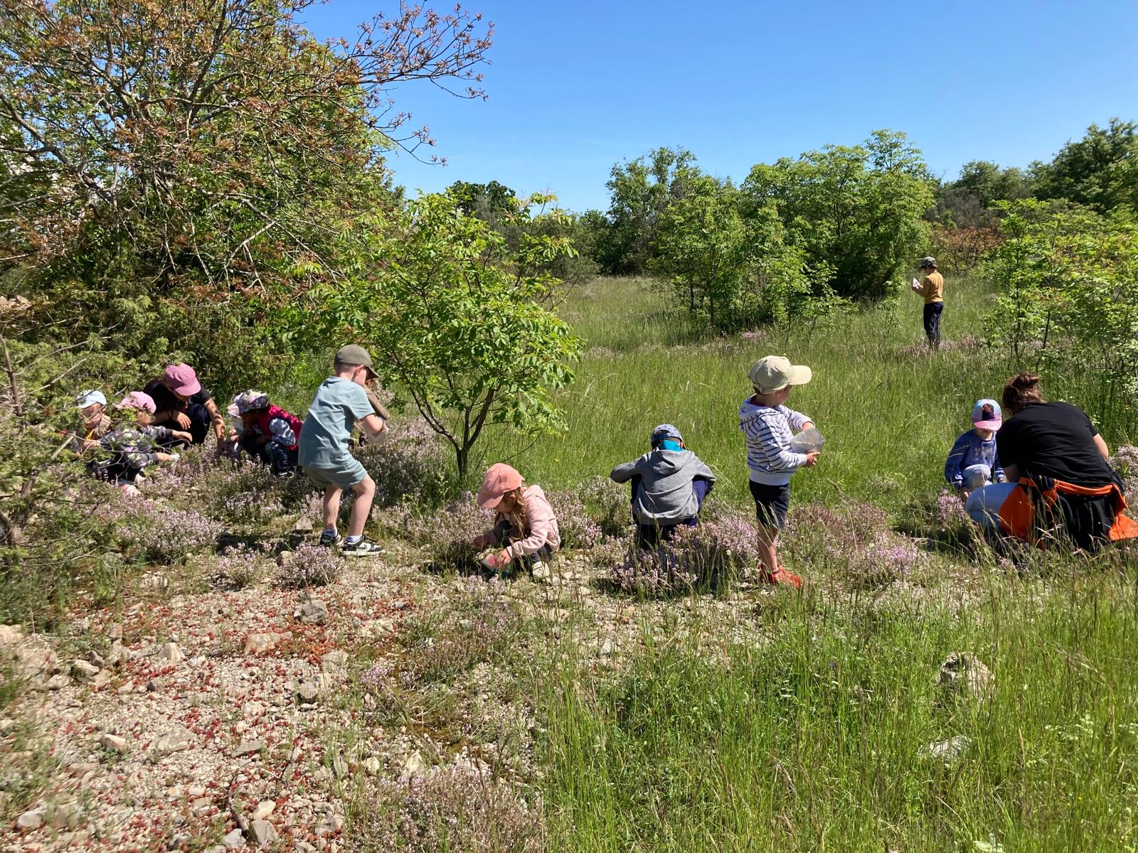 13 juin Anais laurioux